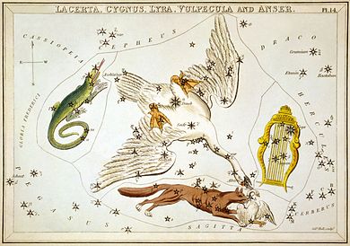 northern-constellations-lyra